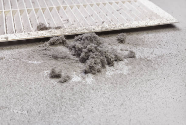 Best Air Duct Cleaning Company Near Me  in Lewiston, ID
