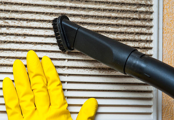 Best Residential Air Duct Cleaning  in Lewiston, ID