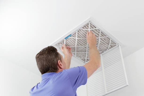 Best Home Air Vent Cleaning  in Lewiston, ID
